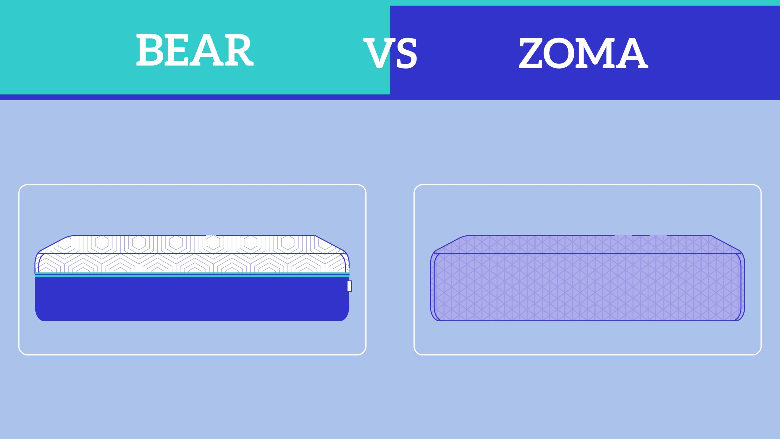 Bear vs Zoma