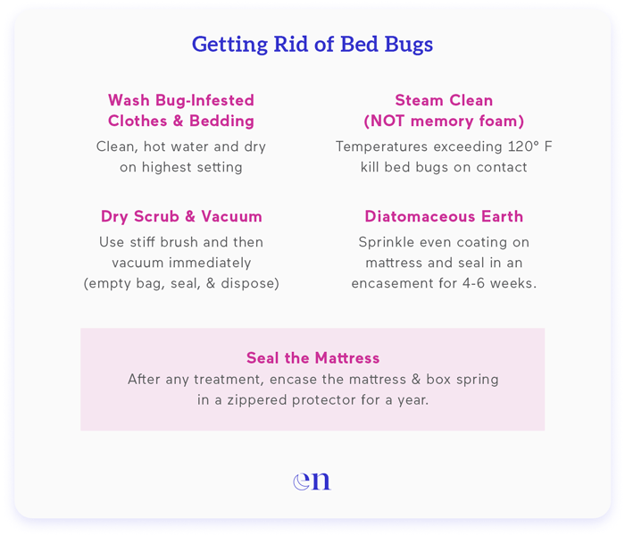 how to remove bed bugs 